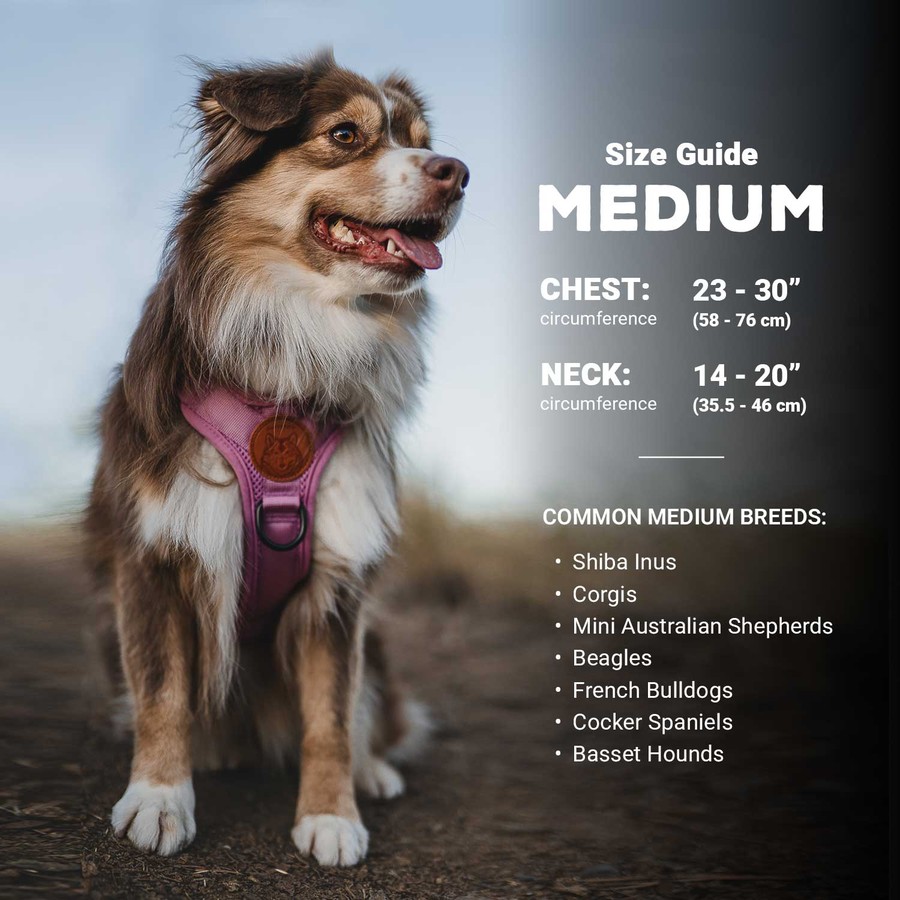 [EXT-PET-HARNESS-WILDERDOG-001] Wilderdog Outdoor Dog Harness